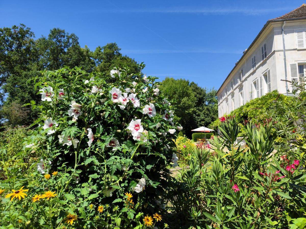 Chateau De Brinville Saint-Sauveur-sur-Ecole Kültér fotó