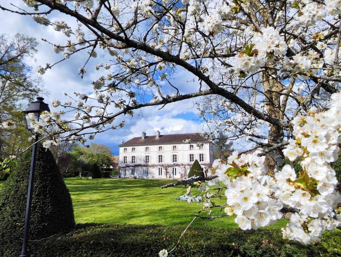 Chateau De Brinville Saint-Sauveur-sur-Ecole Kültér fotó