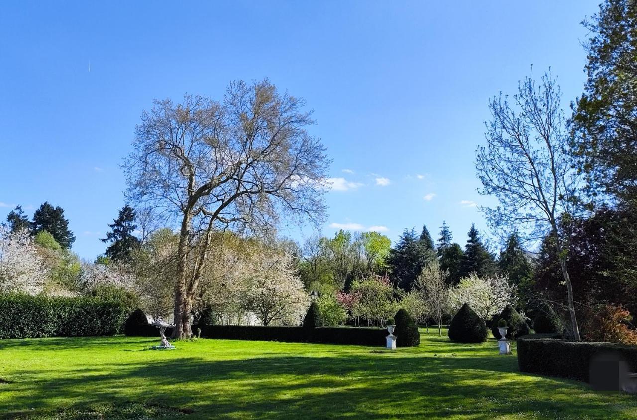 Chateau De Brinville Saint-Sauveur-sur-Ecole Kültér fotó